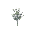 Dark Eucalyptus Filler Bunches