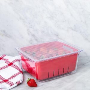 Fridge and Pantry Bin w/Inner Basket