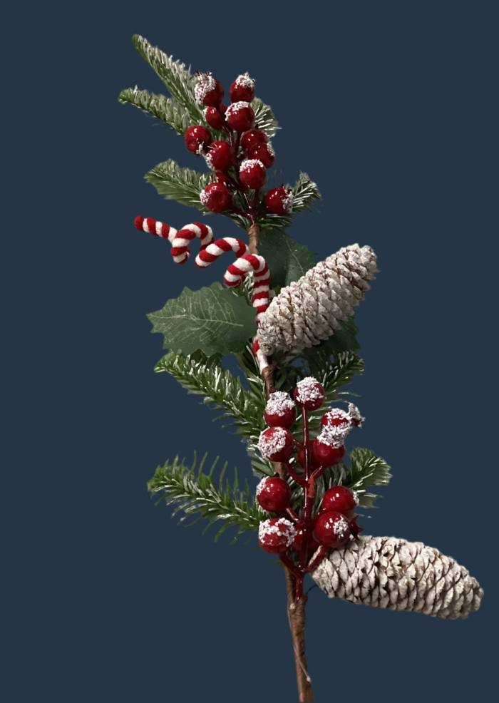 33" Candy Cane Swirl Berry - Image 2