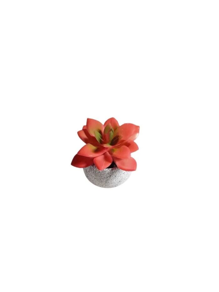 Mini Artificial Succulents