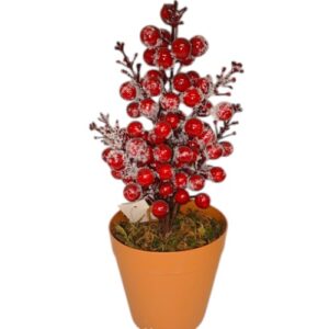 Potted Berry Plant - Frosted